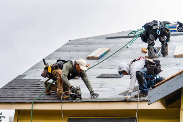 Professional Gutter Installation technician working in Arlington, NE